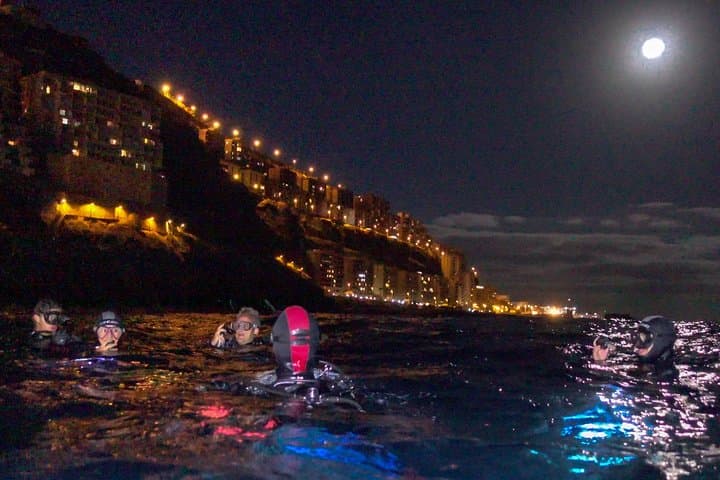 Buceo nocturno en Tenerife - 1