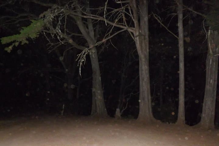 Anaga - 1