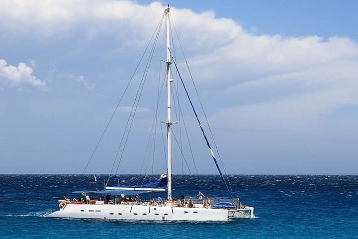 Whale & Dolphin Watching in Tenerife (Puerto Colon) On a Large Catamaran - 1