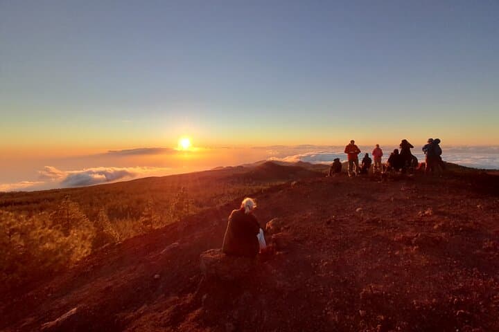Excursión de medio día para grupos pequeños al Parque Nacional del Teide con recogida - 1