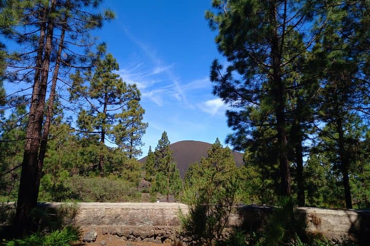 Una vista clásica del volcán y el bosque. - 1