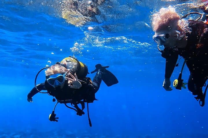 Tenerife: Experiencia de Buceo en Grupo Reducido en Los Cristianos - 1