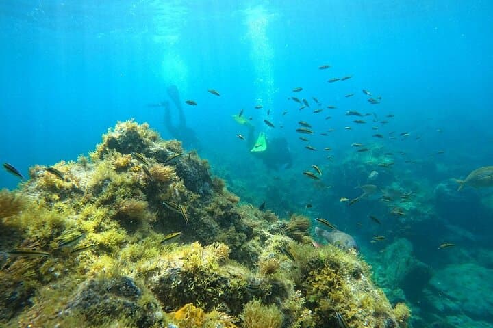 Buceo en Tortuga y Rayas - 1
