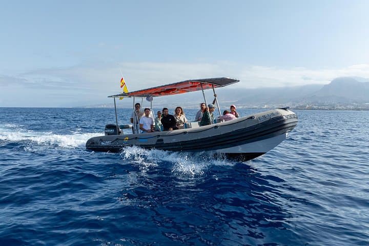 Noticias emocionantes sobre nuestro barco!
Hemos hecho algunas mejoras:
Nuevo techo para más comodidad, más espacio entre asientos, vistas mejoradas, perfecto para capturar fotos impresionantes!
¡Nos vemos a bordo! - 1