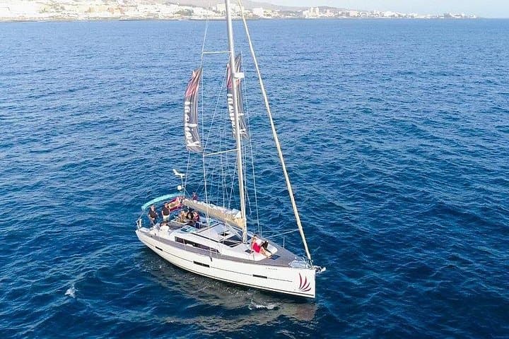 Chárter Privado Avistamiento de ballenas y delfines Max 11 pax - 1