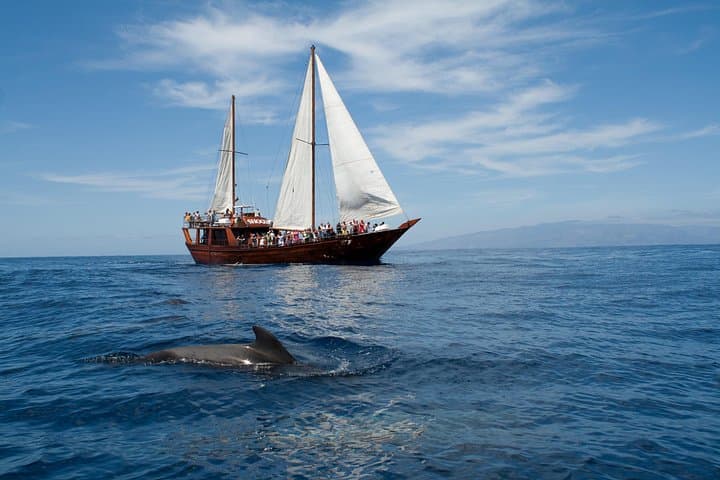 Safari de ballenas hasta Los Gigantes con recogida desde Norte - 1
