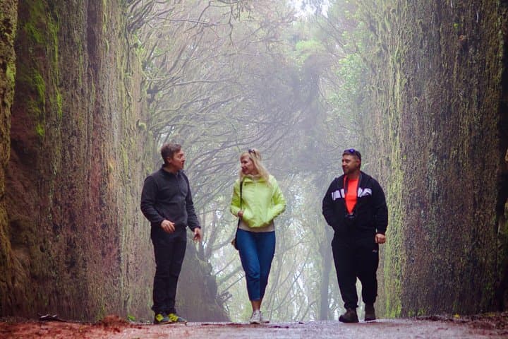 Lugar icónico de Anaga : conocido por los lugareños como Túnel de Pico del Inglés, y por los turistas como el "Túnel de la Felicidad." - 1
