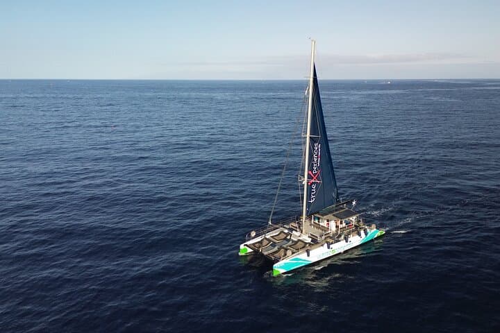 Eco catamarán con paneles solares - 1