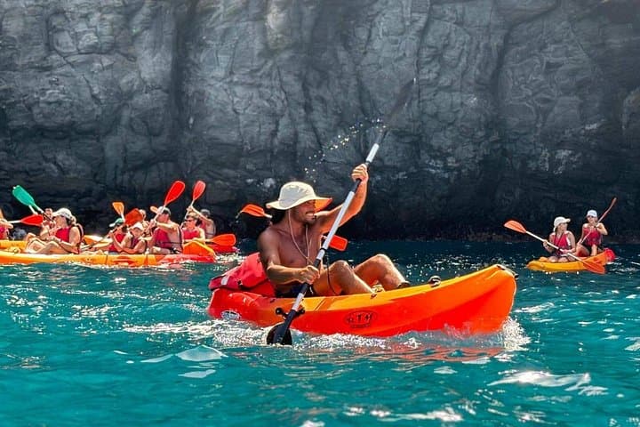 grupos_palya_arenita_palmmar - 1
