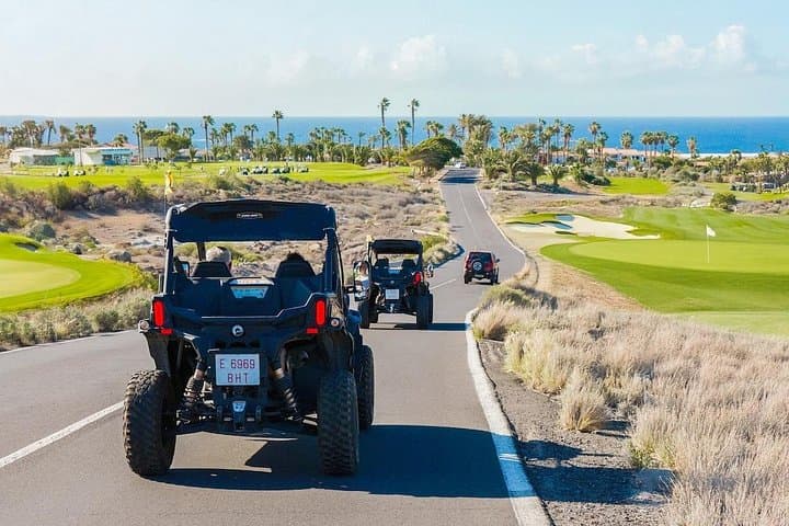 Aventura en Buggy por Tenerife: Costa Sur y Finca de Plátanos - 1
