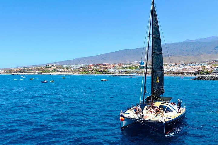 Avistamiento de ballenas en Tenerife. Barco White Tenerife. - 1