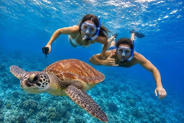 Aventura snorkel Deepfin en Tenerife Exploración de vida marina - 1
