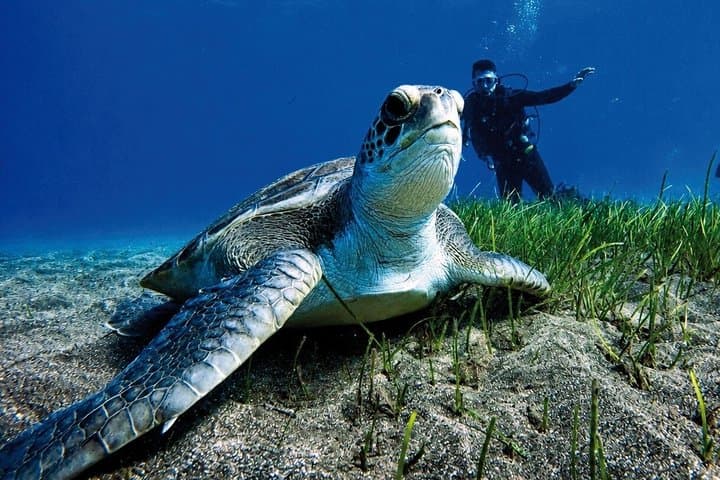 Prueba el Buceo en Puerto Colón - 1