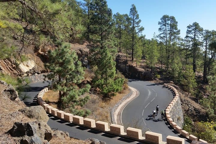 Ruta al Teide - 1