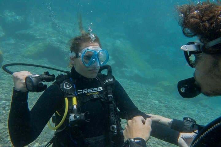PADI Reactivate, ¡refresca tus habilidades de buceo! - 1