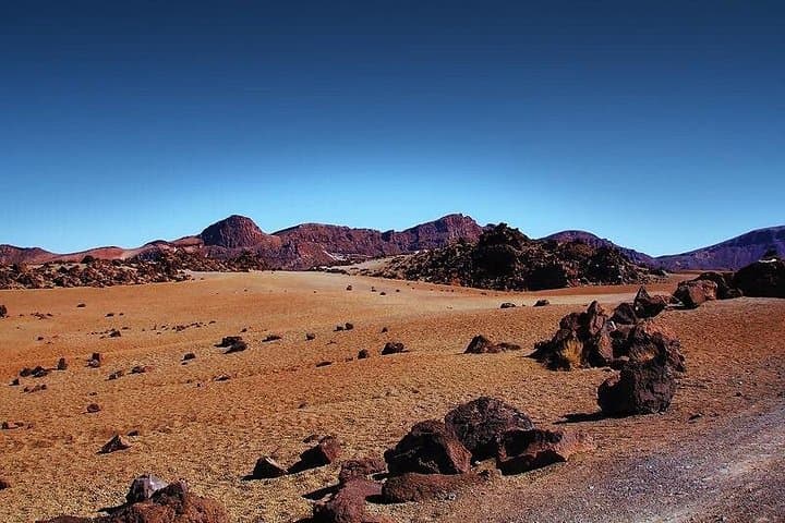 Tour privado de 8 horas a El Teide desde el hotel Tenerife con conductor / guía - 1