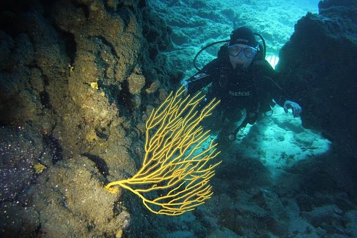 DESCUBRE EL BUCEO - Primer paso para su certificación - 1