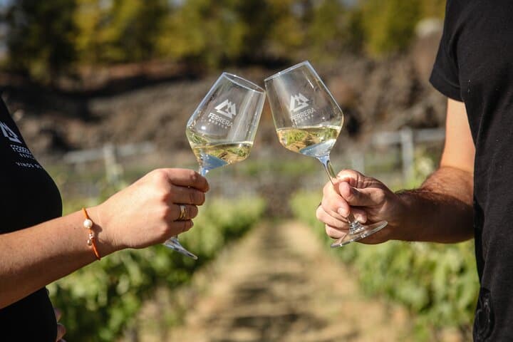 Visita a Viñedo de Montaña en Arafo y Cata de Vinos Ecológicos - 1