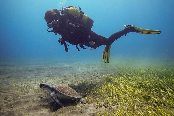 SSI Open Water, Tenerife Sur - 1