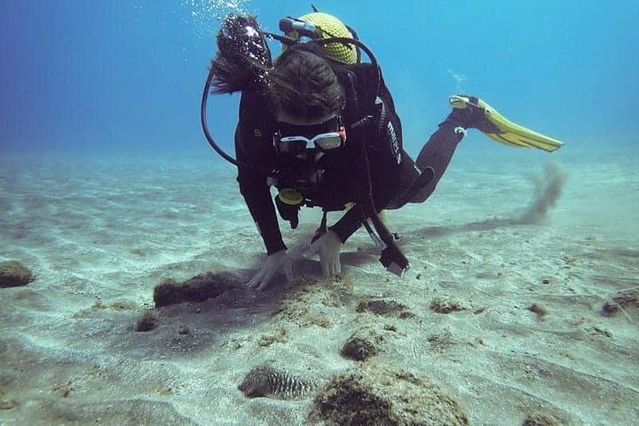 Curso Padi De Iniciación Al Buceo En Tenerife: 2 Inmersiones