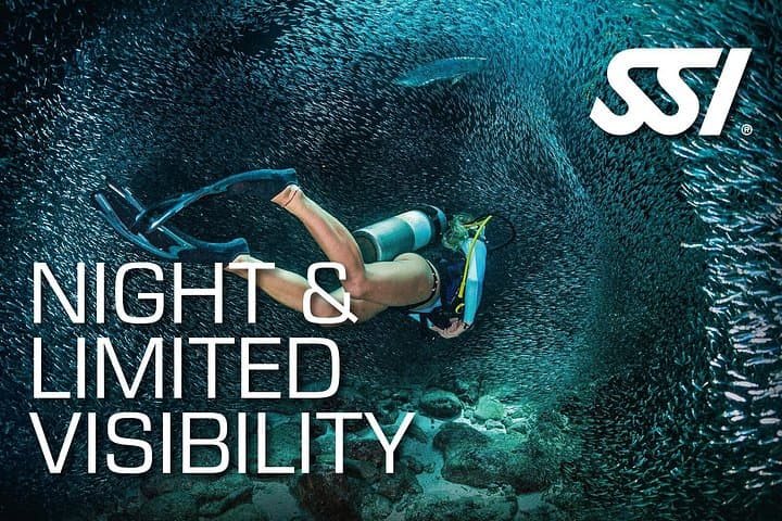 SSI Night Dive Specialty en Tenerife - 1