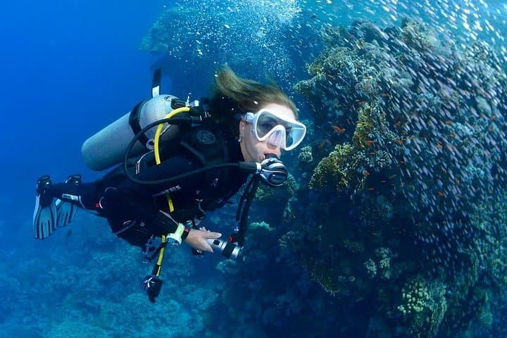 Curso de submarinismo en aguas abiertas PADI en Tenerife - 1