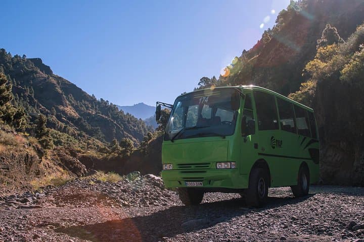 Autobus 4x4 - 1