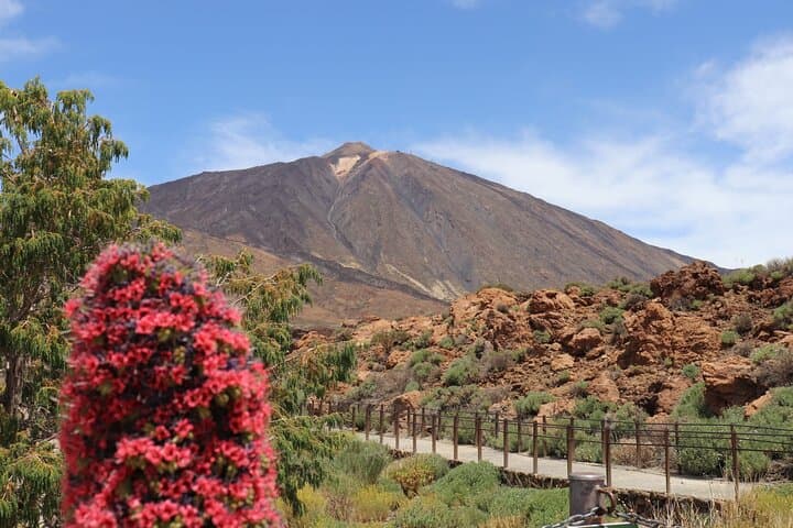 Parque Nacional del Teide - 1