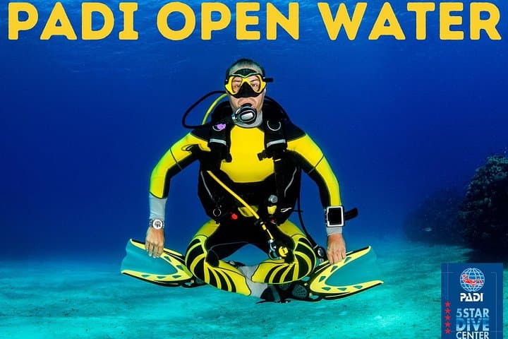Curso PADI Open Water en Costa Adeje - 1