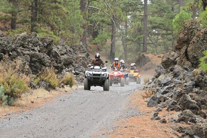 Ruta en quad por el bosque en el sur de Tenerife - 1