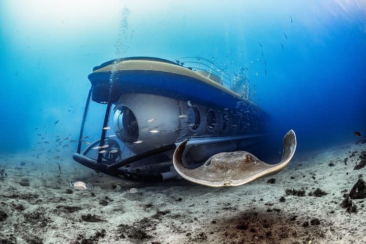 Tour Submarino con Recogida en Hotel Tenerife Sur - 1