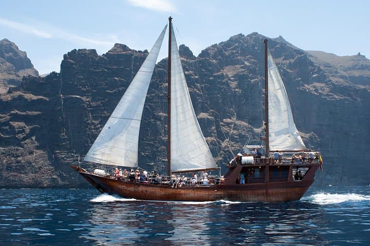 Tenerife: Ballenas y Delfines con Comida y Baño en Los Gigantes - 1