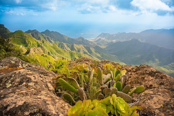 Rincones Ocultos de Tenerife : Taganana Candelaria y Bosque de Anaga - 3
