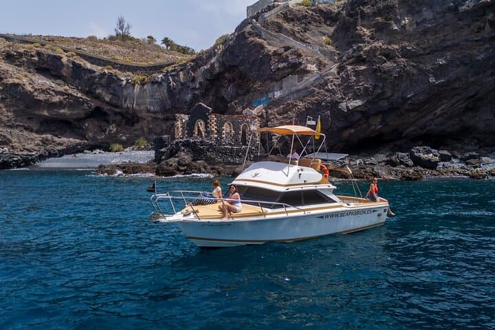 Rorcuales que visitan nuestro Santuario de ballenas - 1