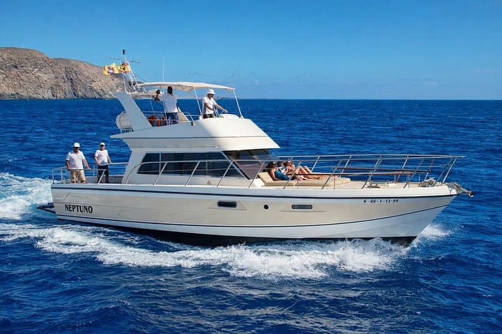 Descubre ballenas en Tenerife: tour en yate con baño y almuerzo - 1