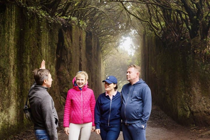 Tour privado al Teide y al bosque de Anaga - 1