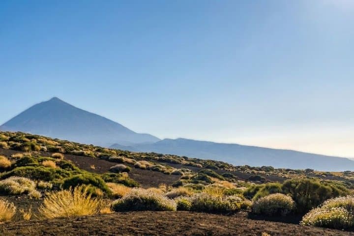 Visita guiada privada al Teide y Norte de Tenerife - 1