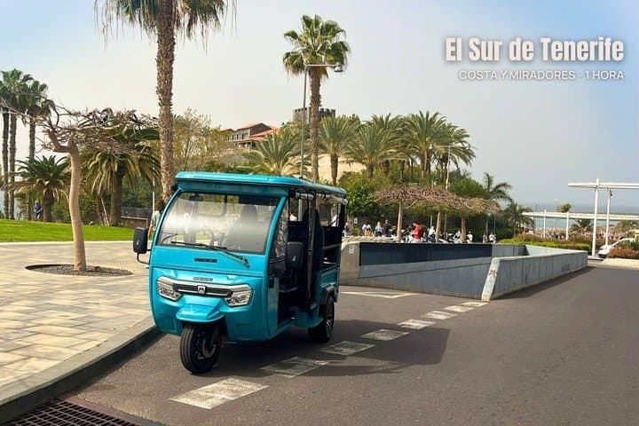Tuk Tuk Tour en el Sur de Tenerife Costa y Miradores - 1