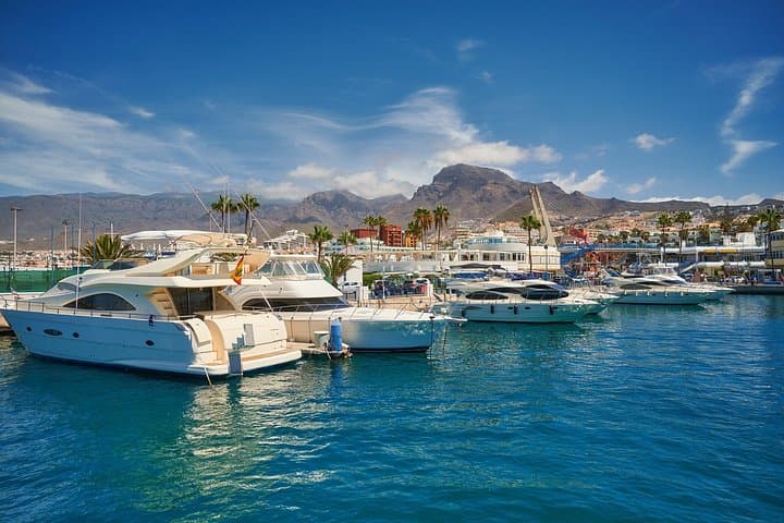 Tour Privado en Costa : Aventura de avistamiento de ballenas en Costa Adeje
