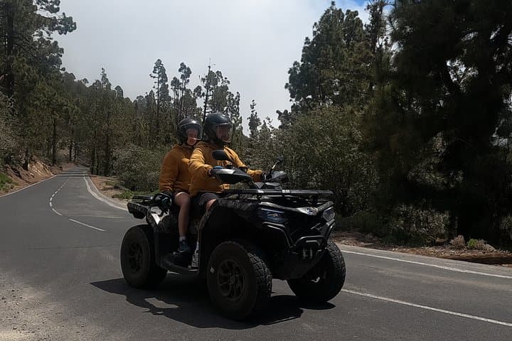 Your Private Trip to the Heart of Tenerife - 1