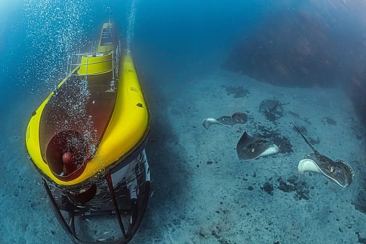 Tour Submarino de Tenerife con Recogida en Los Gigantes - 1