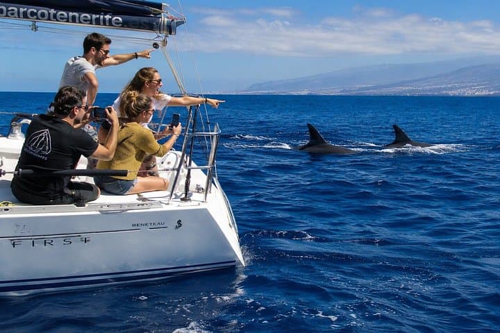 Excursión en el velero 'Soñador' en grupo reducido con natación - 1