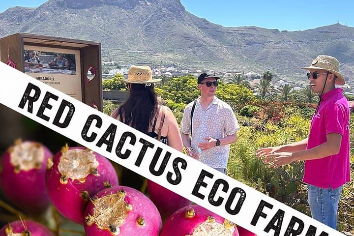 Tenerife Red Cactus Farm Experience: Farm Tour, Tasting & Animals - 1