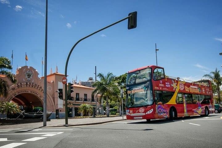 Tour en autobús turístico por Santa Cruz de Tenerife - 1