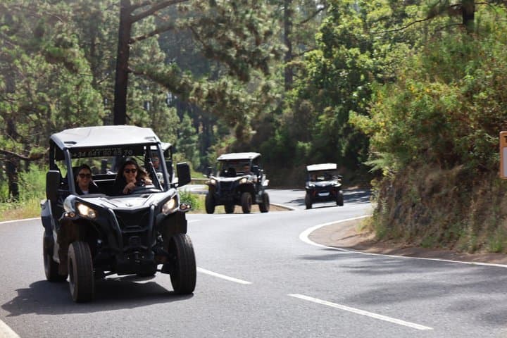 Puerto de la Cruz : Parque Nacional del Día del Teide Buggy - 1