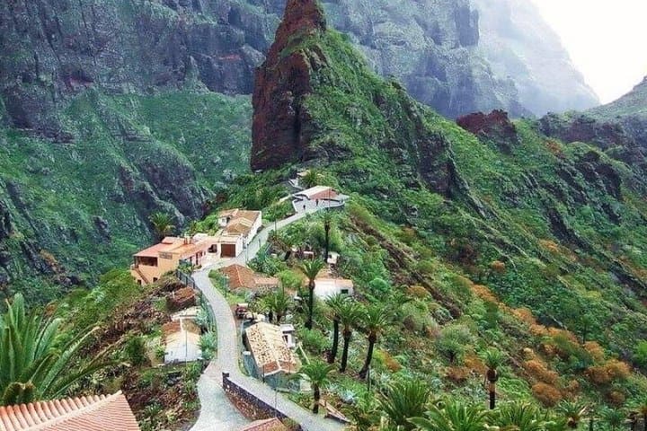Tour de Tenerife Amigable para Cruceros: Cumbres Volcánicas y Ciudades UNESCO - 2