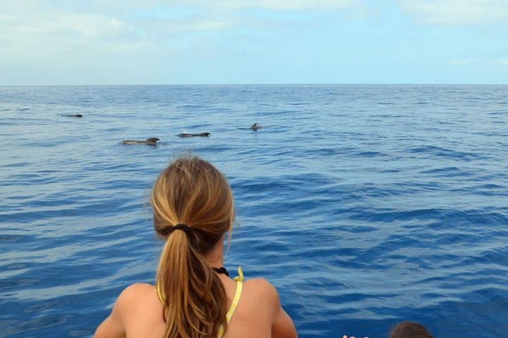 Tenerife: Avistamiento de Ballenas y Delfines con Chapuzón - 1