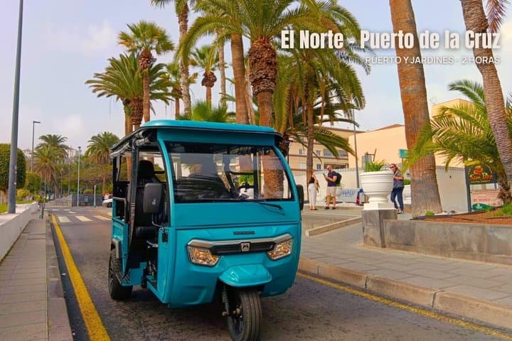 Explora el Norte de Tenerife en Tuk Tuk Puerto y Jardines