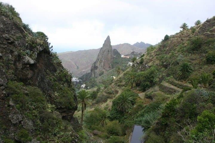 Excursión de un día a La Gomera desde Tenerife Sur - 1